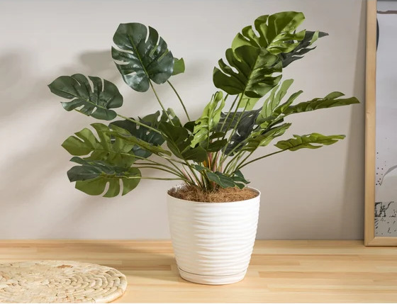 Изображение товара Вазон Idi Land Botanica 231600329/00 (белый)