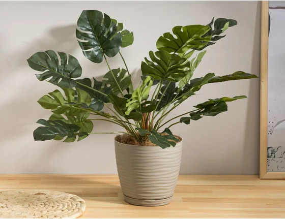 Изображение товара Вазон Idi Land Botanica 231600527/00 (бежевый)