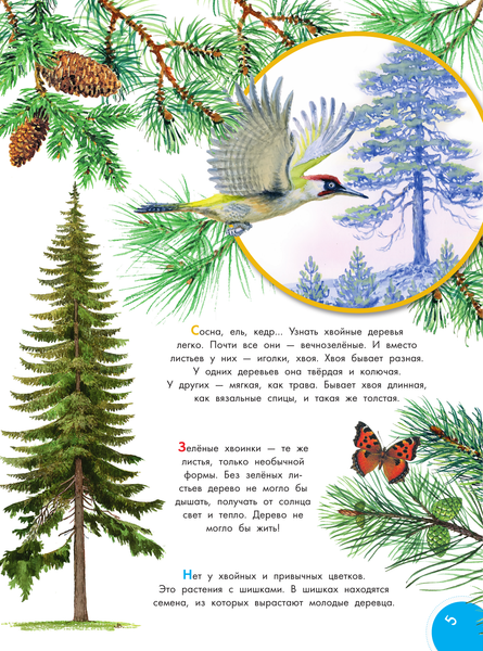 Изображение товара Энциклопедия АСТ Что такое? Кто такой? Твердая обложка (Акимушкин Игорь, Смирнов Алексей и др.)