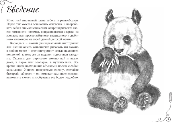 Изображение товара Книга АСТ Котики, собачки, панда и все-все-все. Экспресс-курс + скетчбук (Walter Foster)