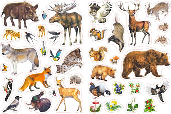 Изображение товара Набор наклеек Фламинго Многоразовые. Звери нашего леса / 9785783325953