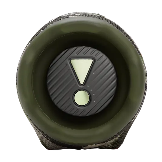 Изображение товара Портативная колонка JBL Charge 6 (камуфляж)