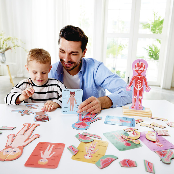 Изображение товара Развивающая игра Hape Умняша Строение тела человека / E1652_HP