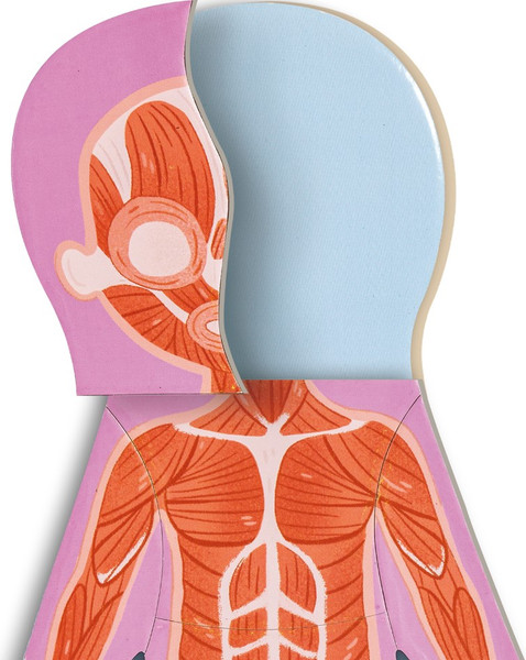 Изображение товара Развивающая игра Hape Умняша Строение тела человека / E1652_HP