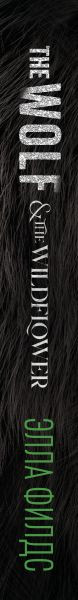 Изображение товара Книга Эксмо Волк и дикий цветок, твердая обложка (Филдс Элла)