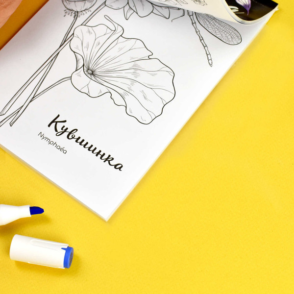 Изображение товара Раскраска Феникс+ Ботаника / 67593