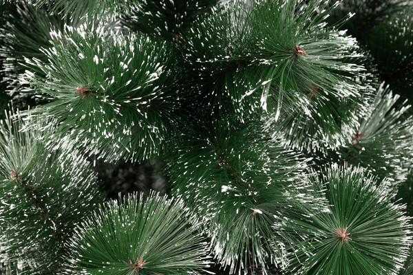 Изображение товара Ель искусственная Winter Fun Drop 150 / 23173-150CM