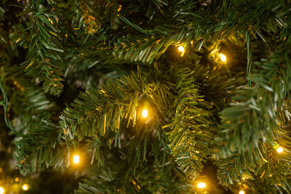 Изображение товара Ель искусственная Winter Fun Light 210 / 24801-210CM LED