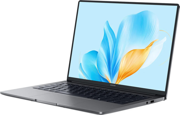 Изображение товара Ноутбук Honor MagicBook X14 2025 FRG-X (5301ALWJ)