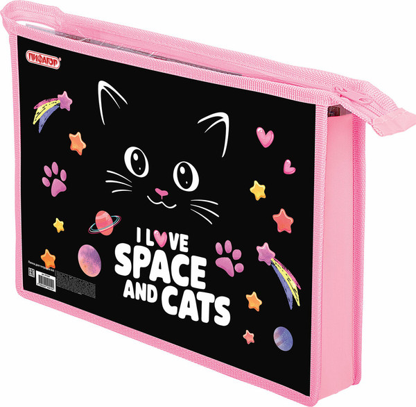 Изображение товара Папка для тетрадей Пифагор Dark Kitten / 273339