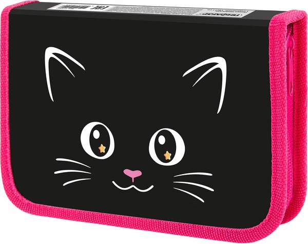 Изображение товара Пенал Пифагор Dark Kitten / 273467