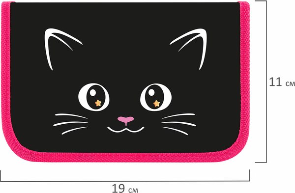 Изображение товара Пенал Пифагор Dark Kitten / 273467