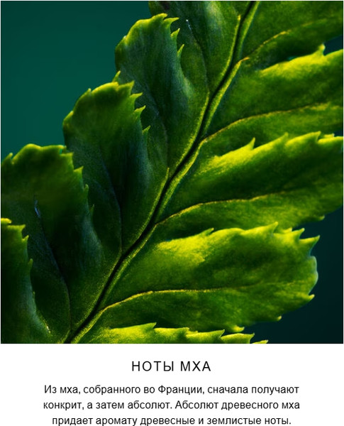 Изображение товара Туалетная вода Guerlain Vol De Nuit (75мл)