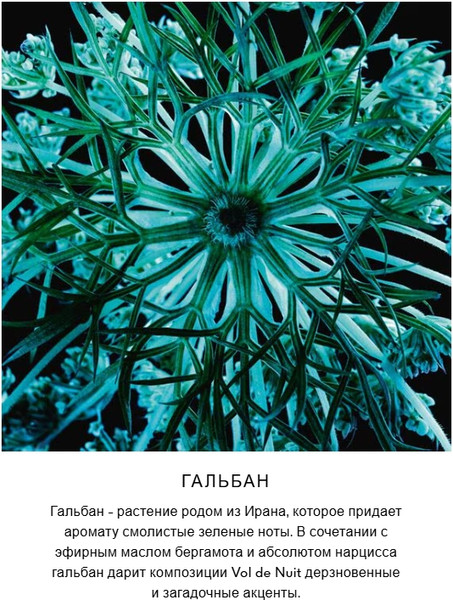 Изображение товара Туалетная вода Guerlain Vol De Nuit (75мл)