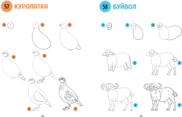 Изображение товара Книга Эксмо Большая книга животных. 300 рисунков шаг за шагом (Эрцог Лиз, мягкая обложка)