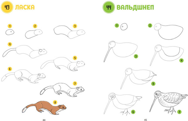 Изображение товара Книга Эксмо Большая книга животных. 300 рисунков шаг за шагом (Эрцог Лиз, мягкая обложка)