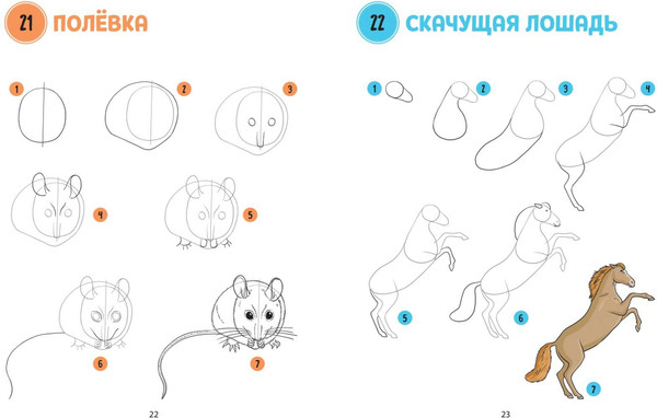 Изображение товара Книга Эксмо Большая книга животных. 300 рисунков шаг за шагом (Эрцог Лиз, мягкая обложка)
