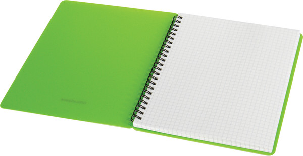 Изображение товара Тетрадь BG Neon / Т5гр48_пл 59676 (48л, салатовый)