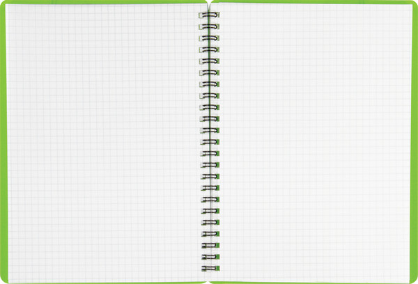 Изображение товара Тетрадь BG Neon / Т5гр48_пл 59676 (48л, салатовый)