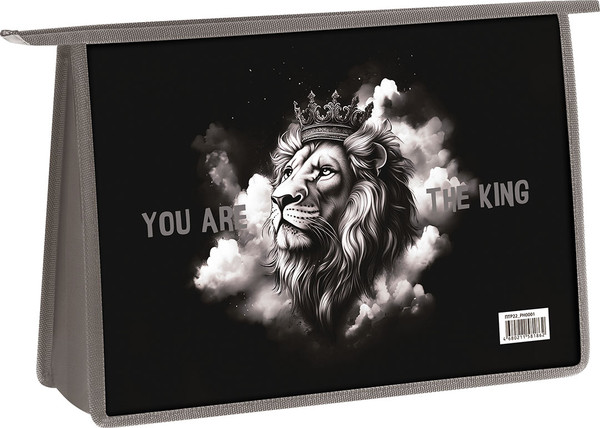 Изображение товара Папка для труда ArtSpace King / ПТР22_PH0001