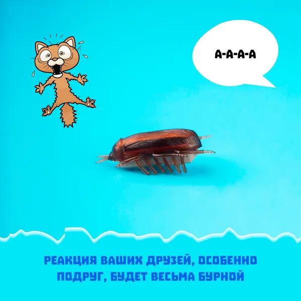 Изображение товара Интерактивная игрушка Sima-Land Жучок. Таракан / 1847184