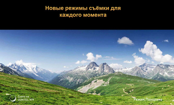 Изображение товара Планшет Oukitel RT9 (черный)