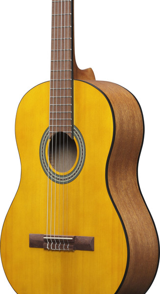 Изображение товара Акустическая гитара Ibanez GA3-OAM