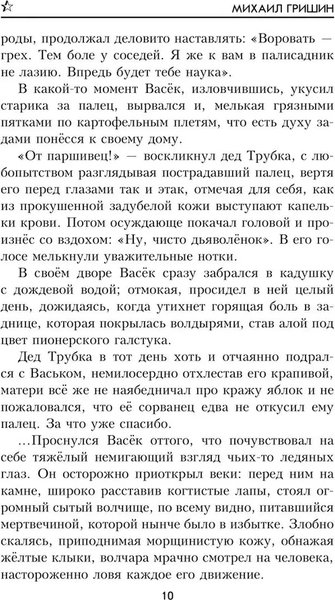 Изображение товара Книга Вече Одиночка, твердая обложка (Гришин Михаил)