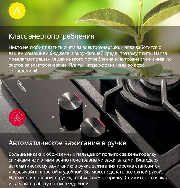 Изображение товара Плита газовая Hansa FCMW59329