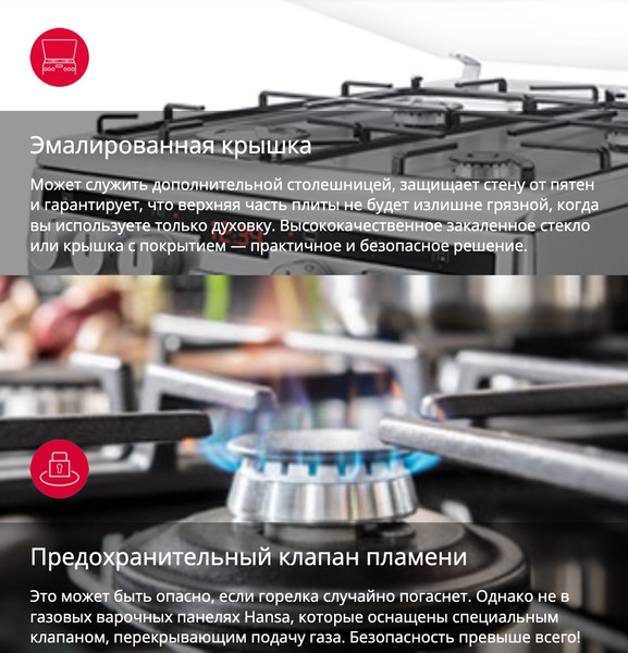 Изображение товара Плита газовая Hansa FCMW59329