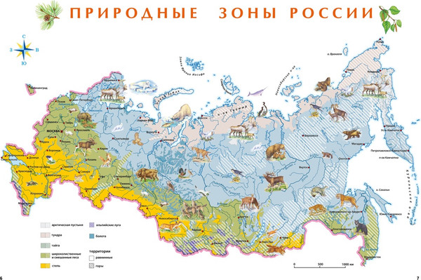 Изображение товара Энциклопедия Махаон Природа России, твердая обложка (Свечников Владимир, Романова Тамара)