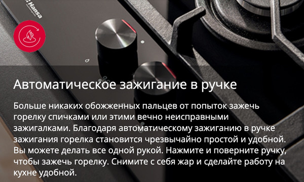 Изображение товара Плита газовая Hansa FCMX58259