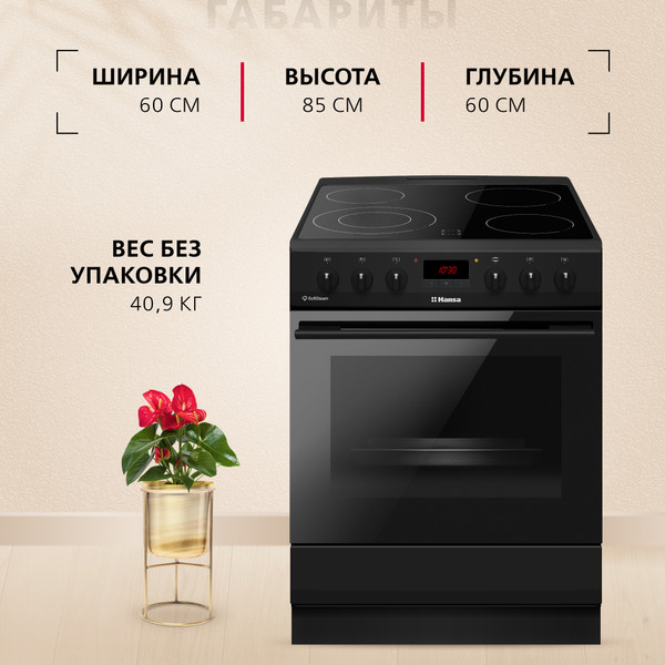 Изображение товара Плита электрическая Hansa FCCM69225H
