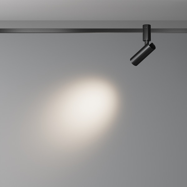 Изображение товара Трековый светильник Maytoni Focus Led Flarity TR144-1-12W4K-W-B