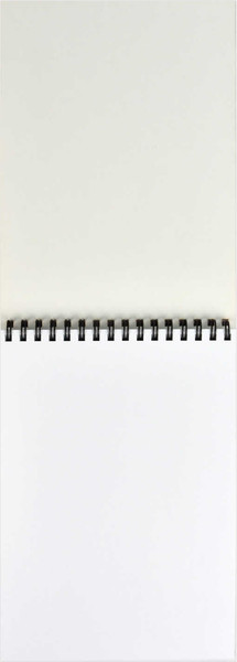 Изображение товара Скетчбук Феникс+ Мечтающий кот / 68504