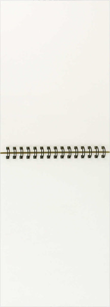 Изображение товара Скетчбук Феникс+ Сердитый енот / 70480