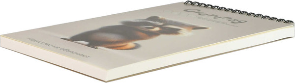 Изображение товара Скетчбук Феникс+ Сердитый енот / 70480