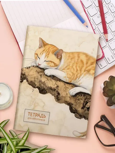 Изображение товара Тетрадь предметная Эксмо Для записи иероглифов. Рыжий котик / 9785042088247