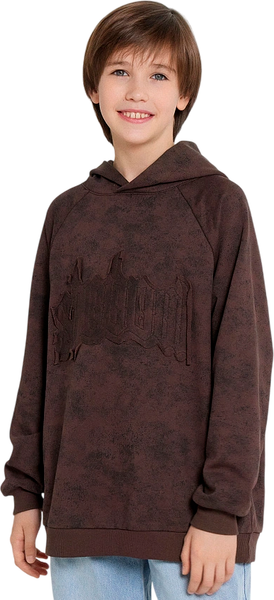 Изображение товара Худи детское Mark Formelle 123418 (р.110-56, коричневый acid wash/574-D-1 вышивка)