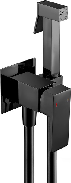 Изображение товара Гигиенический душ со смесителем Lauter Rinse 21GN4052BM