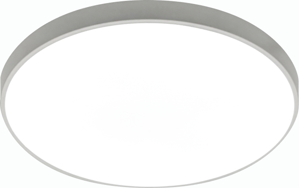 Изображение товара Потолочный светильник Truenergy 11600