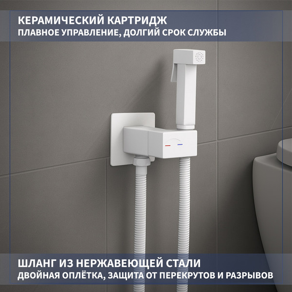 Изображение товара Гигиенический душ со смесителем Lauter Rainix 21LT7713MW