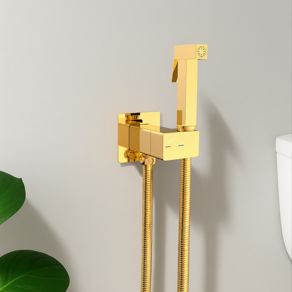 Изображение товара Гигиенический душ со смесителем Lauter Rainix 21LT7714GL