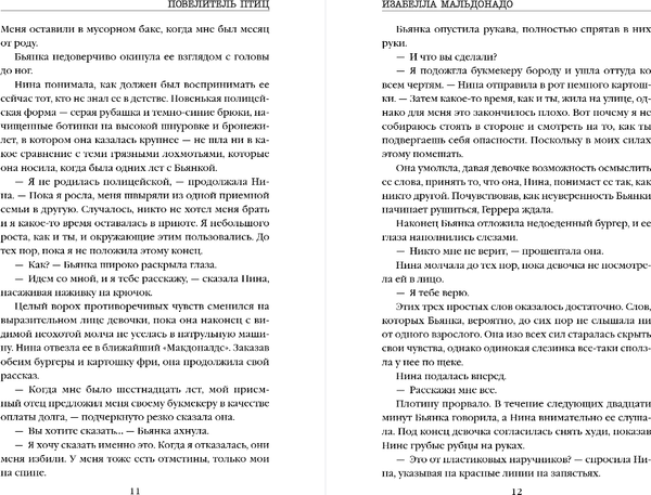 Изображение товара Книга Inspiria Повелитель птиц, твердая обложка (Мальдонадо Изабелла)