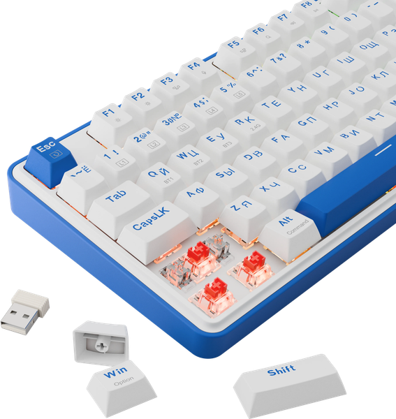 Изображение товара Клавиатура Redragon Faye Pro / 72257