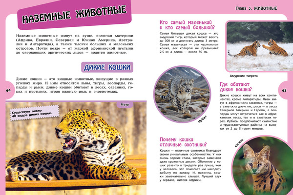 Изображение товара Энциклопедия Эксмо Большая для любознательных девчонок, твердая обложка