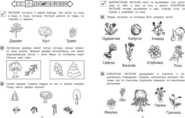 Изображение товара Развивающая книга Эксмо Мир вокруг, мягкая обложка (Горохова Анна, Волох Алла)