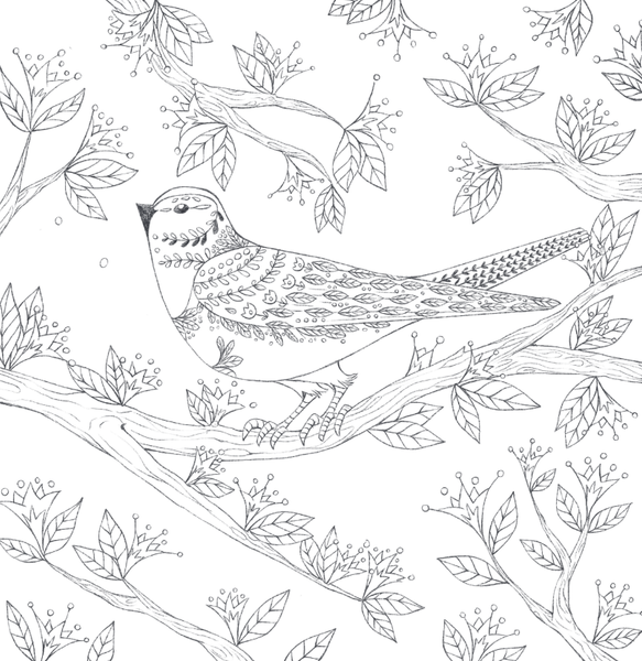 Изображение товара Раскраска Бомбора В объятиях природы, мягкая обложка (Дюфур Диана)