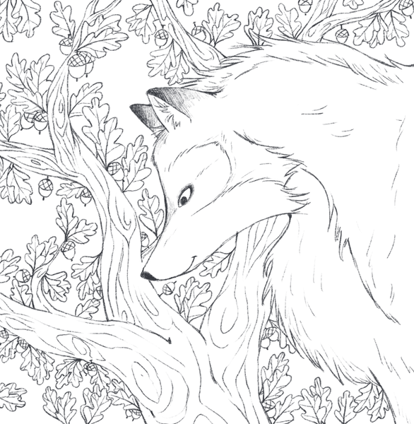 Изображение товара Раскраска Бомбора В объятиях природы, мягкая обложка (Дюфур Диана)