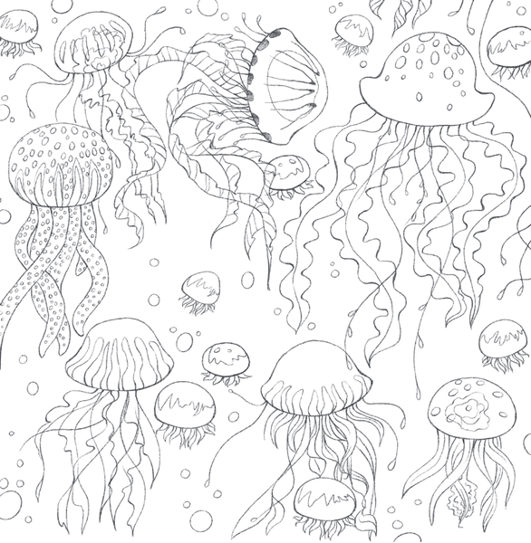 Изображение товара Раскраска Бомбора В объятиях природы, мягкая обложка (Дюфур Диана)